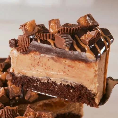 Peanut Butter Chocolate Cake Cheesecake