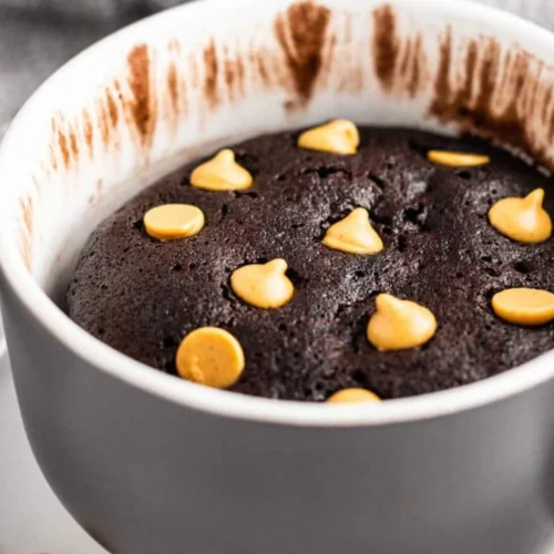 Chocolate Peanut Butter Mug Cake